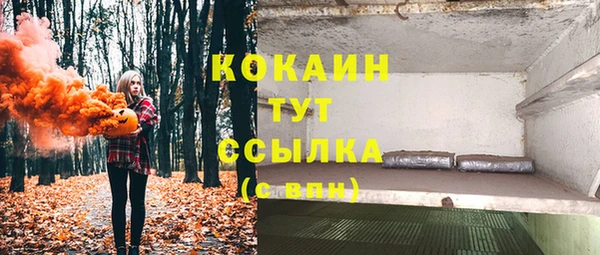 стафф Ладушкин