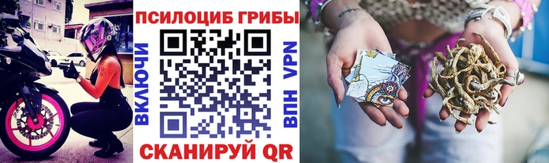Галлюциногенные грибы мицелий Нолинск